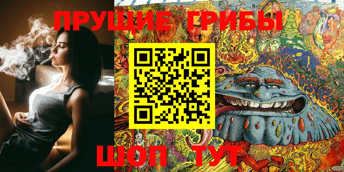 Будённовск  цена   Вход с VPN  Галлюциногенные грибы Psilocybe 